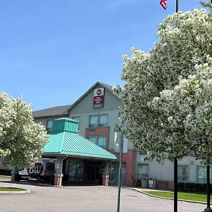 best-western-plus-travel-hotel-toronto-airport.hotelstorontoontario.org/